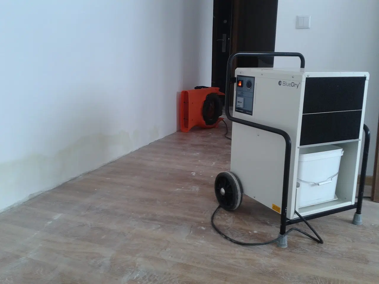 dezumidificator profesional