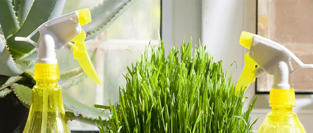 Pulverizator apa - Umidificare camera